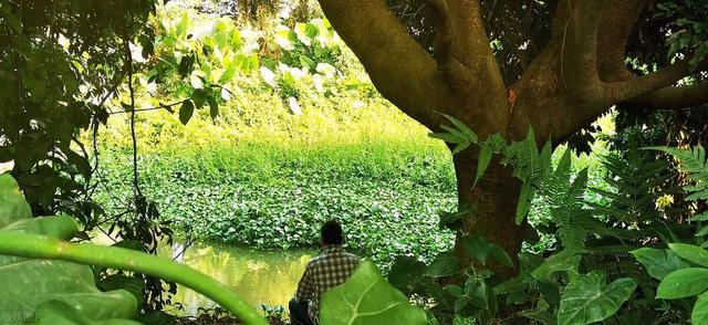 夏季夜钓，什么钓位上鱼多？钓深还是钓浅？一次讲明白