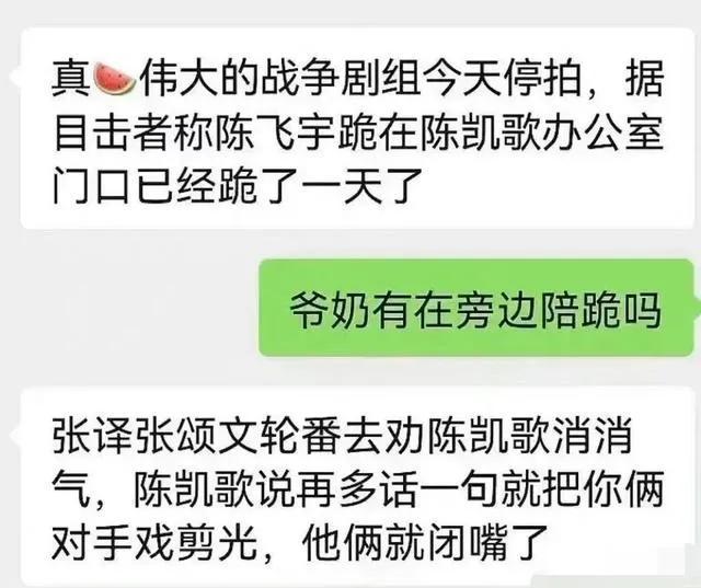 陈飞宇|网曝陈飞宇被陈凯歌罚跪一整天，张译张颂文等人劝阻反被训