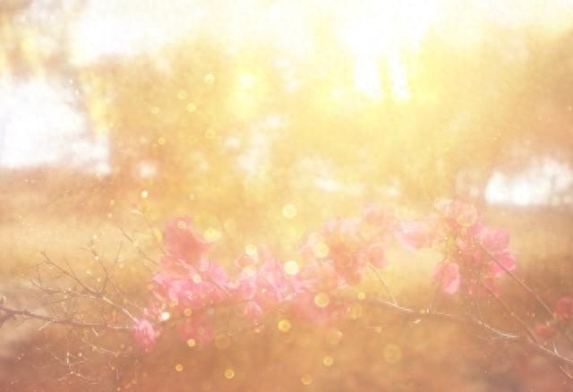 让皮肤变巨好的5个秘诀