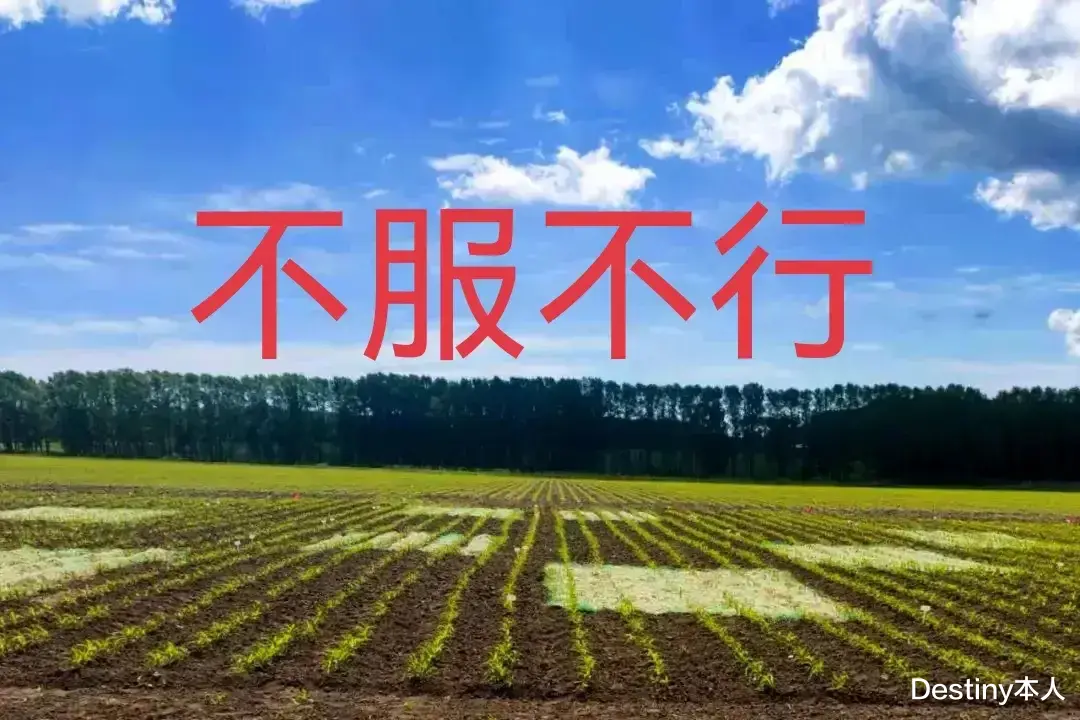 欧阳娜娜|郭德纲证明一件事:相声演员不靠工资、不当寄生虫也能活得很好