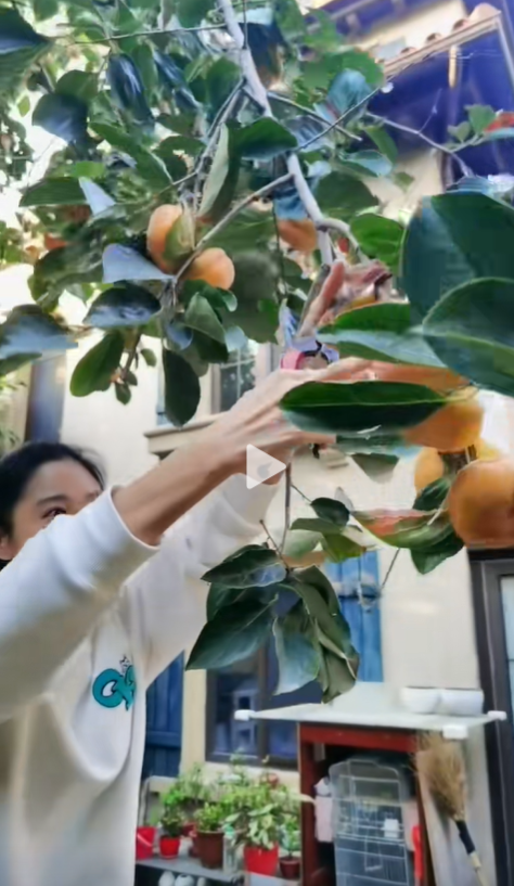 王媛可晒北京2层大别墅，老公出镜幽默，两个双胞胎儿子胖又帅气