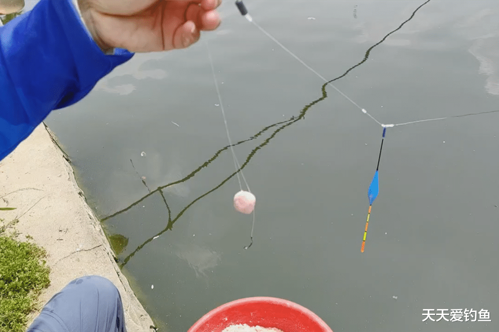 |野钓大鱼,子线选用2“要”原则,少断线多上鱼