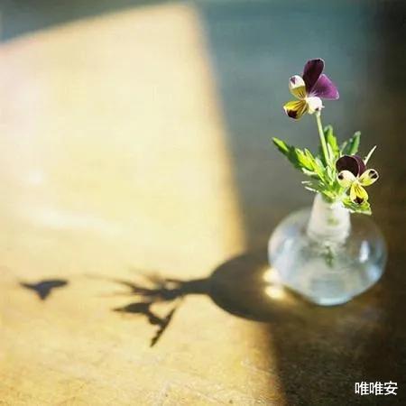 酱牛肉|23片一盘的酱牛肉,你自己吃18片:准婆婆家吃顿饭,变分手宴