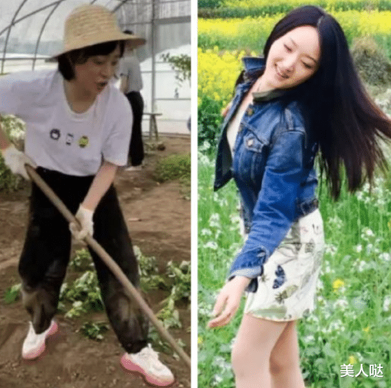 孙俪和杨钰莹同样下地干农活,一个有模有样太接地气,一个装模作样超做作