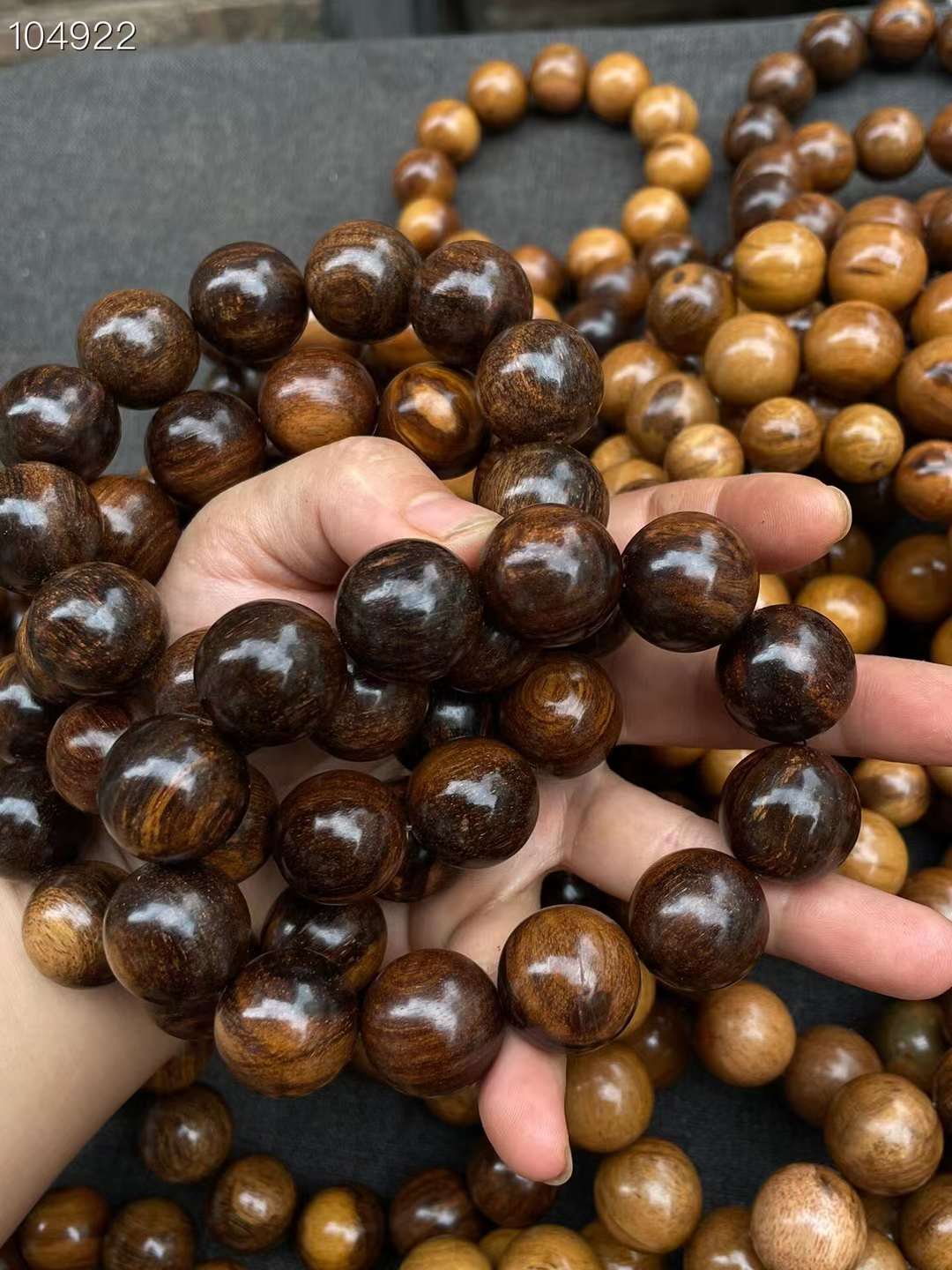 沉香|贡木沉香统称永生木