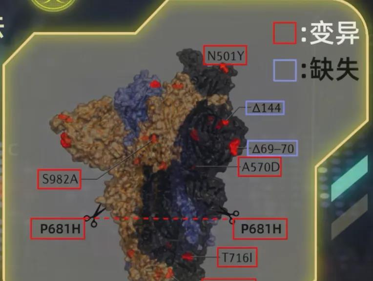 新冠历史野蛮扩张不亚于科技大爆炸!降维打击