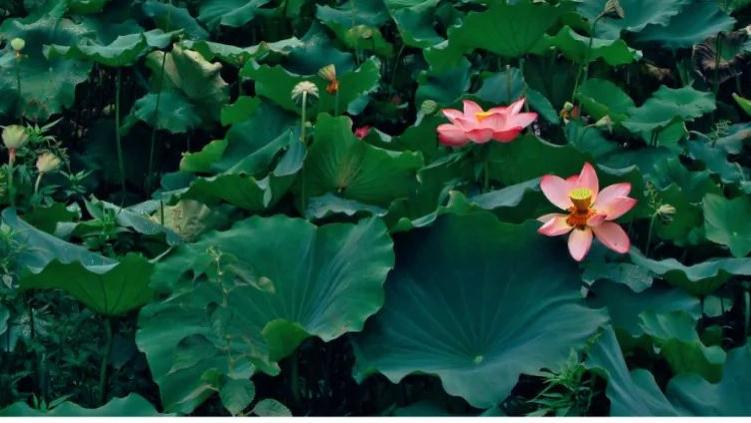 电子商务|杨德振：碎片化营销