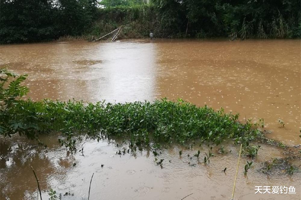 同样用蚯蚓野钓,每次只有仨瓜俩枣,是你真的不会用