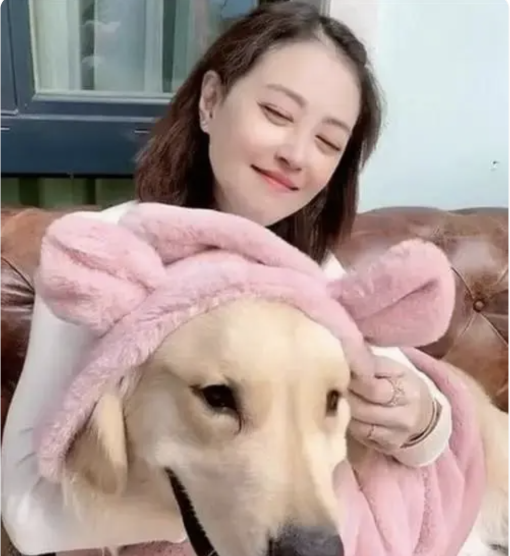 周海媚离世：曾「睡女厕」，爱犬房间比卧室还大，但遗产让人泪目