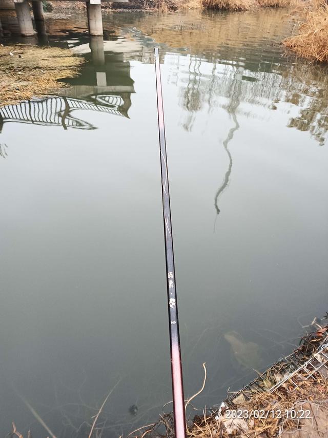 大爷|【钓鱼之家虾粉】阴雨绵绵,鱼口爆连,助人为乐,钓者本色