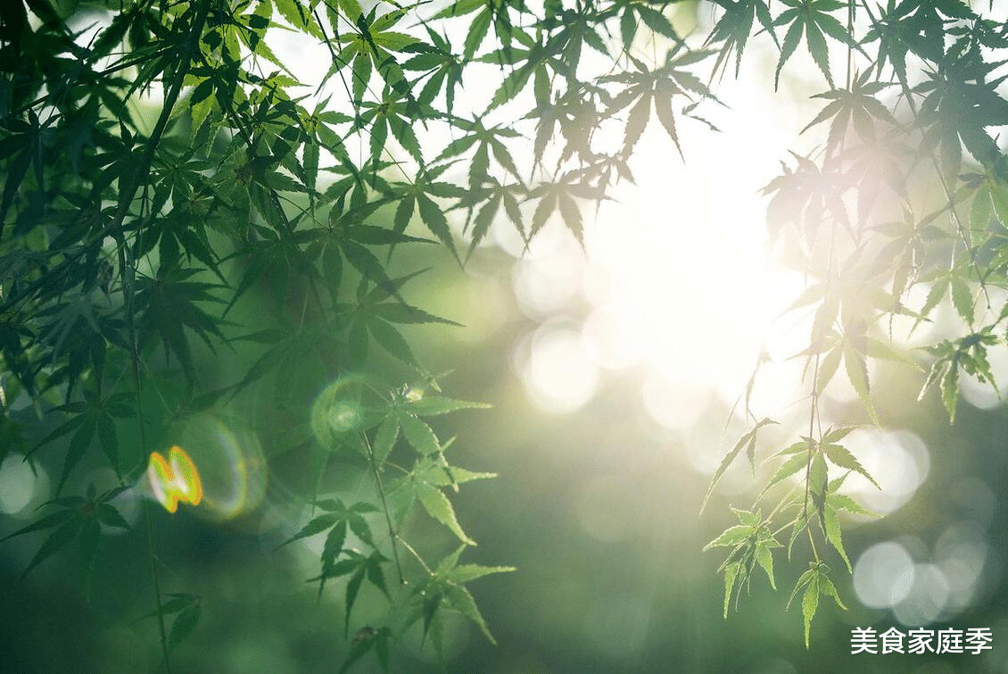 美食教程|2023入伏时间表来了！这个三伏天不一般！