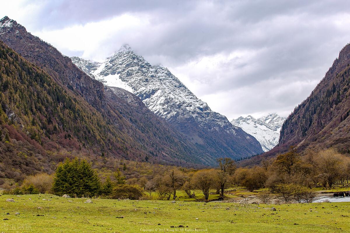 求职|生活一团乱麻时,如何从中理出头绪来?