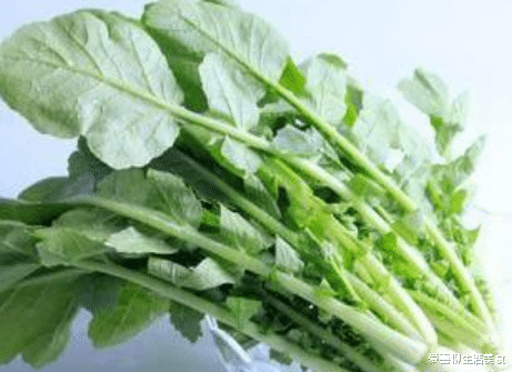 萝卜|入伏前后,遇见这菜别手软,比萝卜营养,比鸡毛菜脆嫩,老少皆宜,别不懂吃!