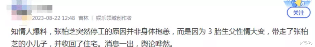 张柏芝小儿子被曝带走，孙东海原形毕露，张柏芝被迫停工