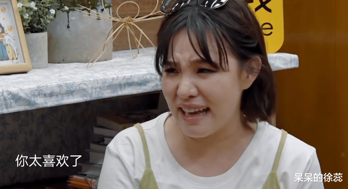 谢依霖|耿直的何炅，让观众看清谢依霖的为人，《向往的生活》太好哭了