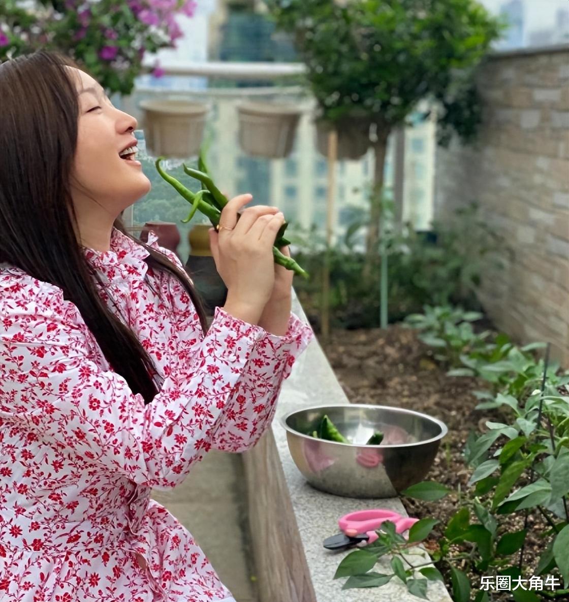 分手的26年后，赖文峰出狱乡下结婚度日，杨钰莹的选择让人心疼