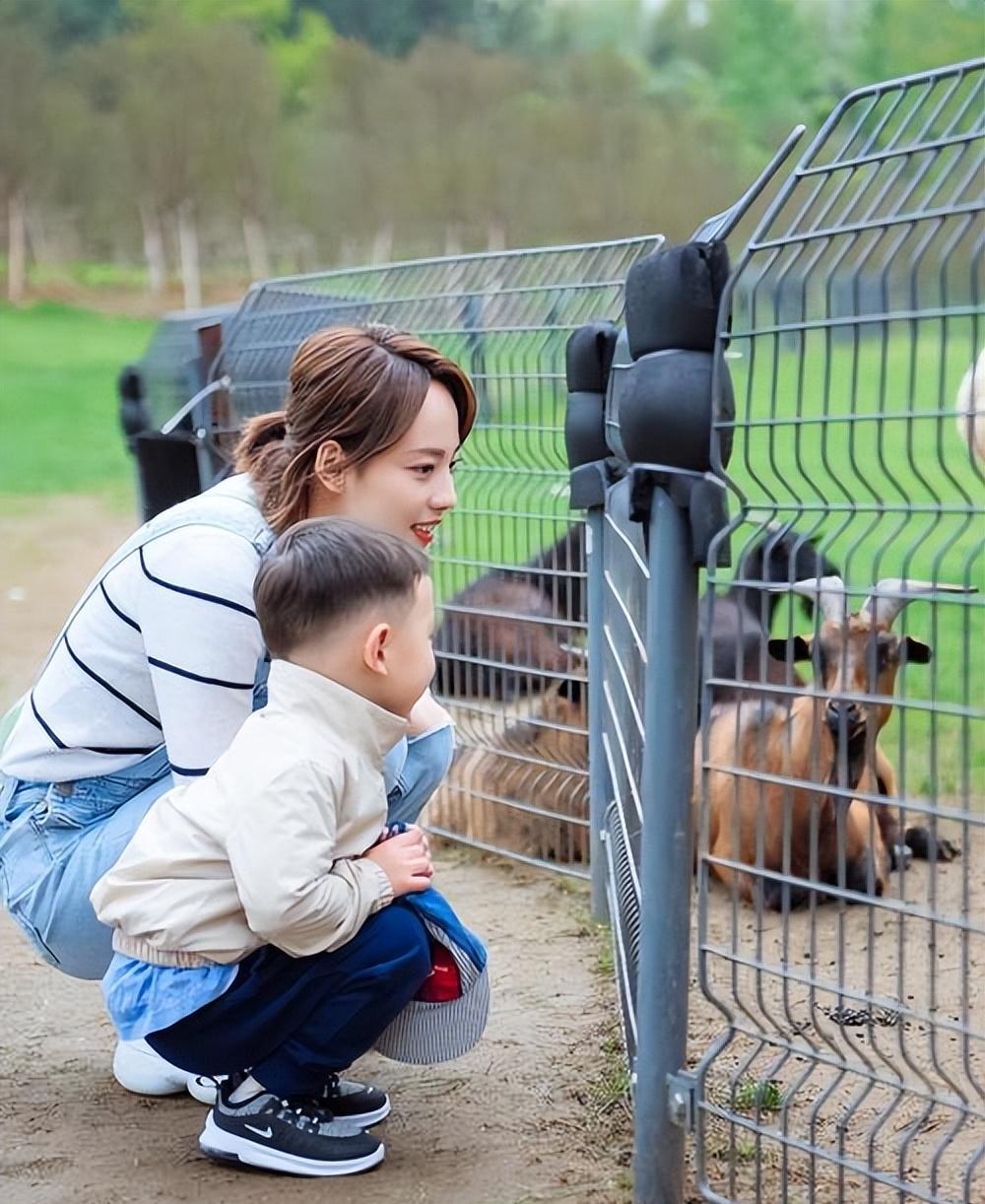 有一种“算计”叫张嘉倪与买超,离婚一年后,才看明白这盘大棋!