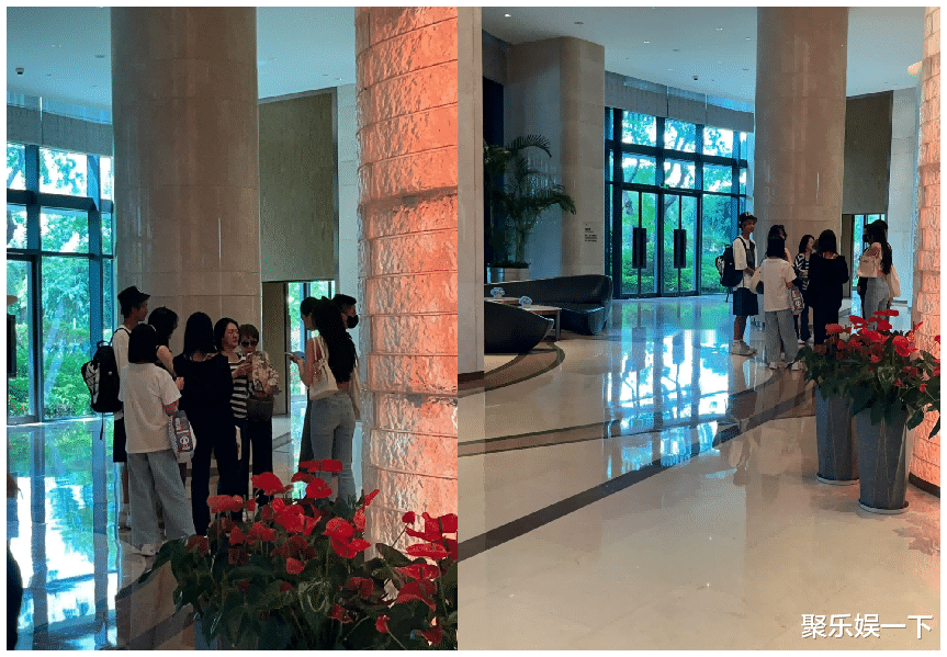 小S再度现身厦门引发争议，社交媒体上两极反应