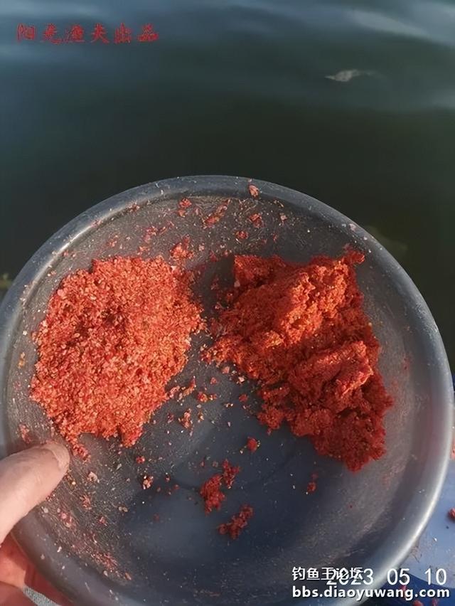 |大鲫加疯杀红虫,野河钓鲫爆护了