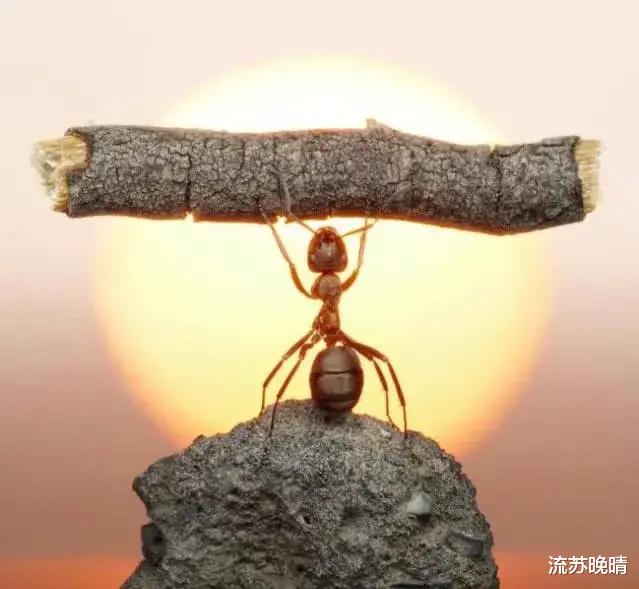 996|请努力为了你自己。