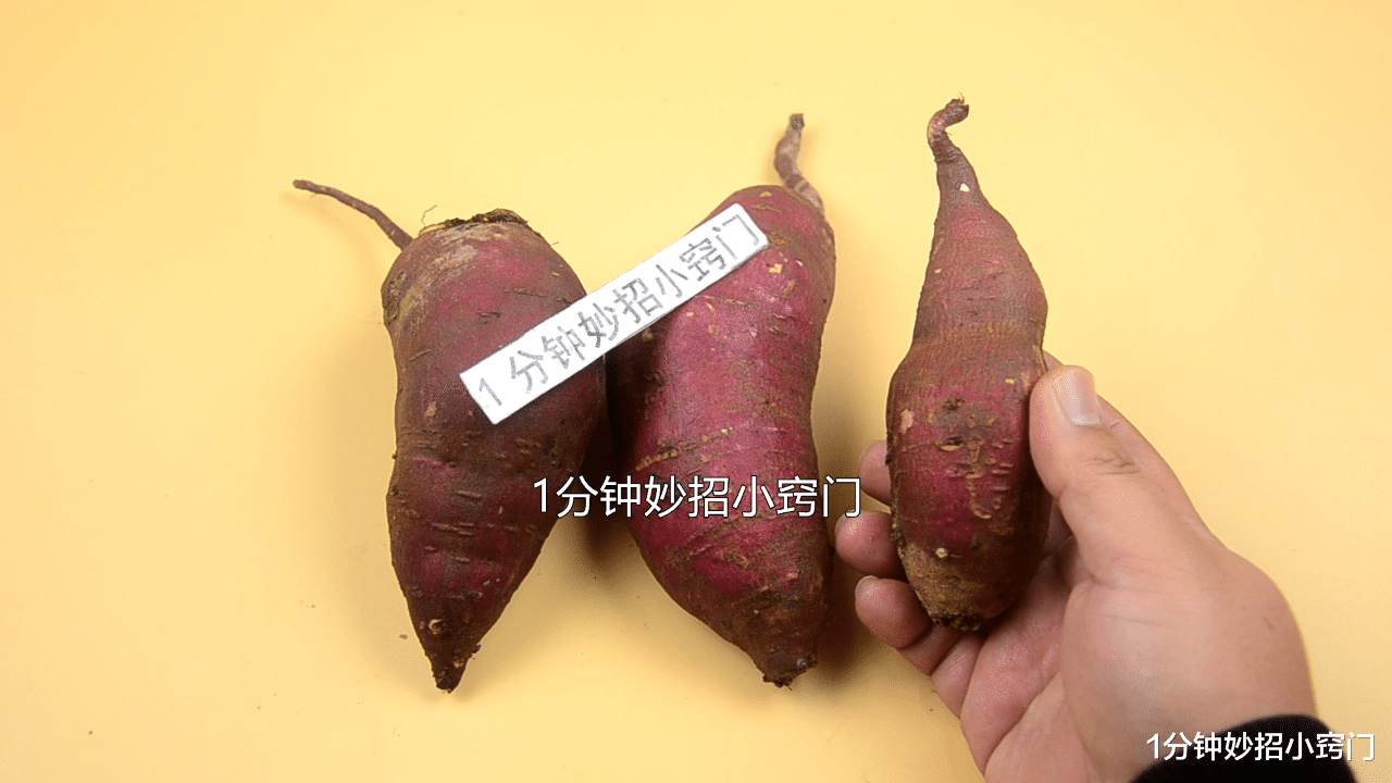 红薯|蒸红薯时,切记不要直接上锅蒸,教你一招,香甜软绵,入口即化