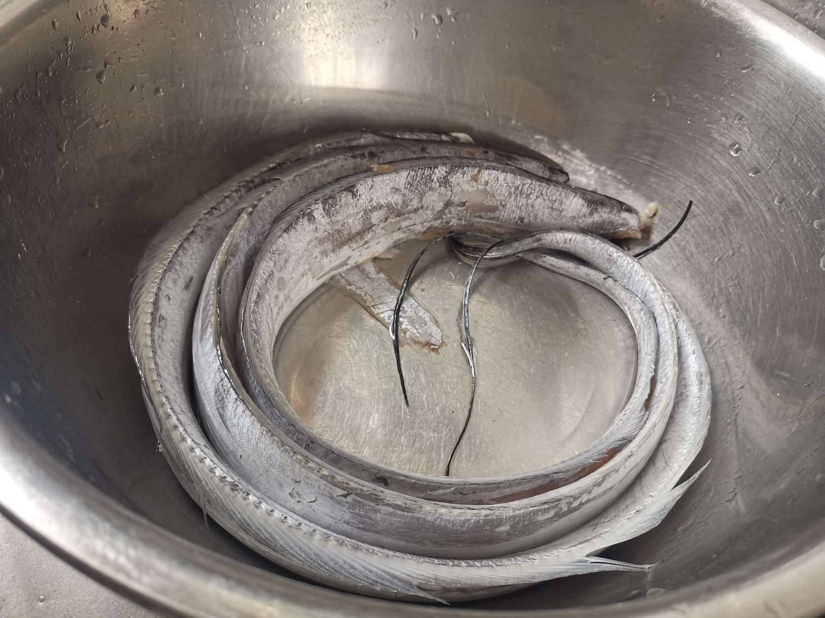 美食教程|秋后，吃羊肉吃牛肉不如吃它，蒸蒸就上桌，老人孩子都爱吃，太鲜了！