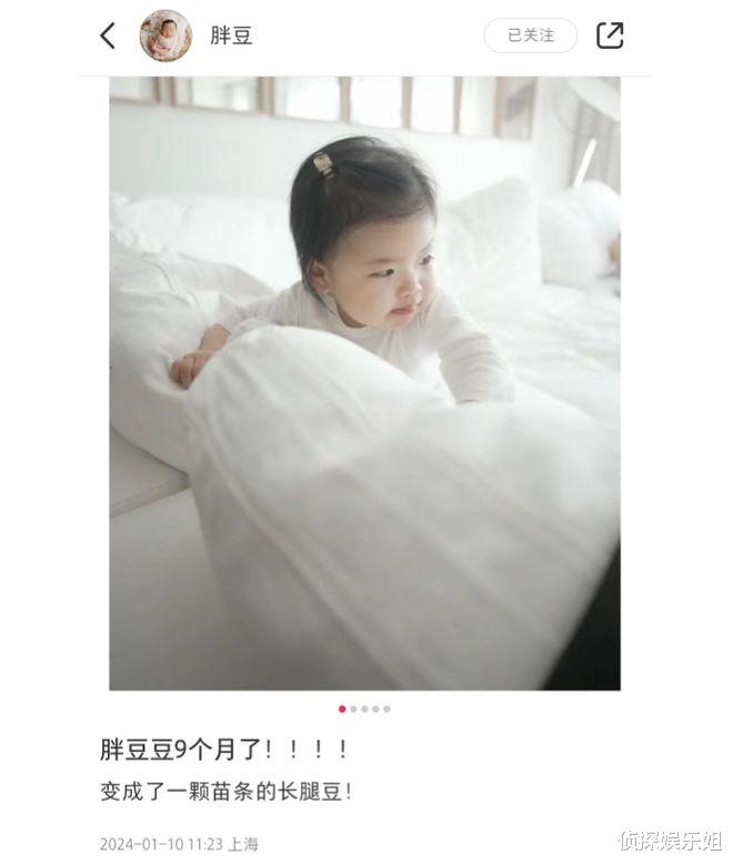 程晓玥晒9个月女儿,胖豆挥手打招呼领导范足,眉眼弯弯超像妈妈