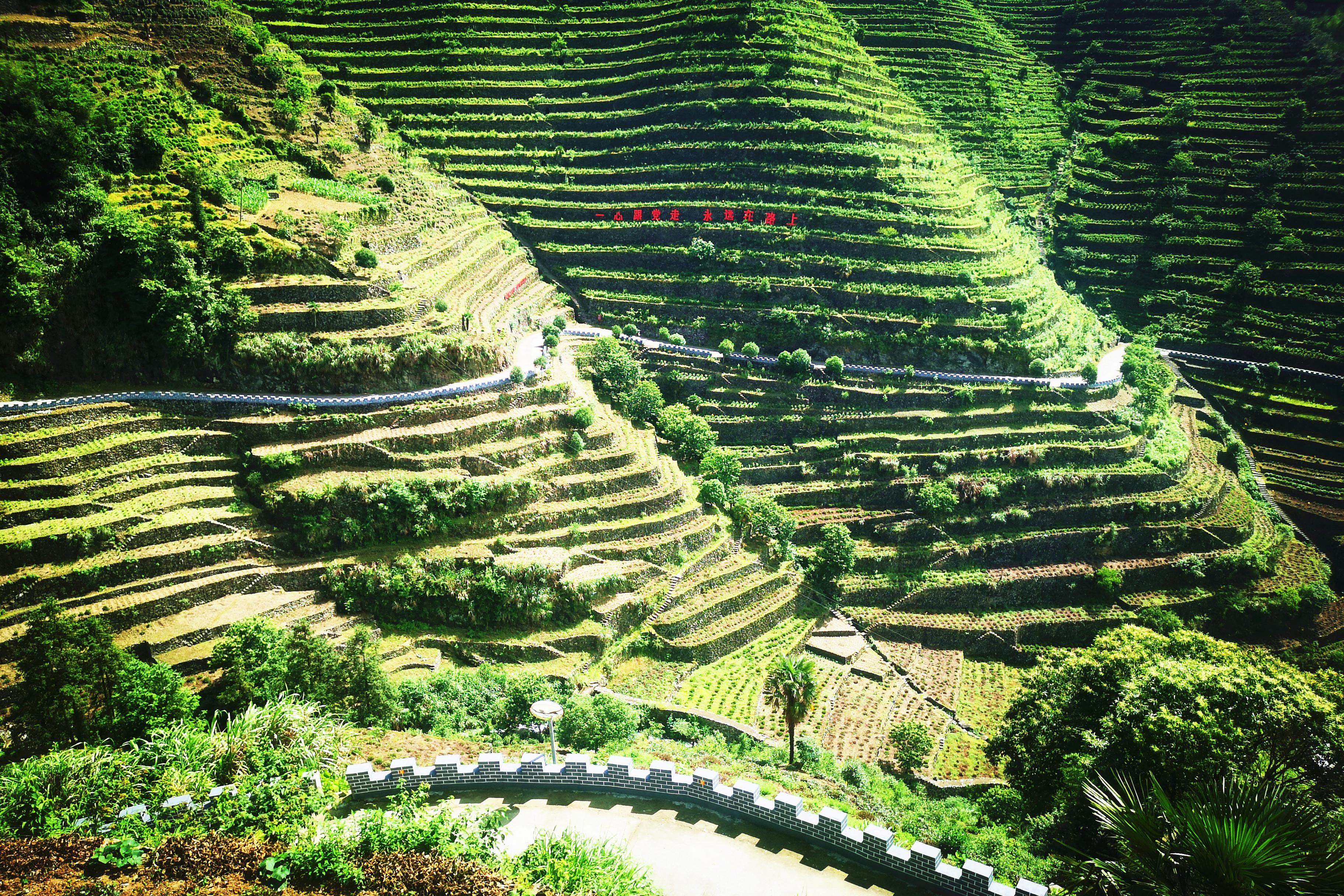 不负"徽州天路"行:去蜈蚣岭村,看千米高山上的人定胜天奇迹吧 - 旅游