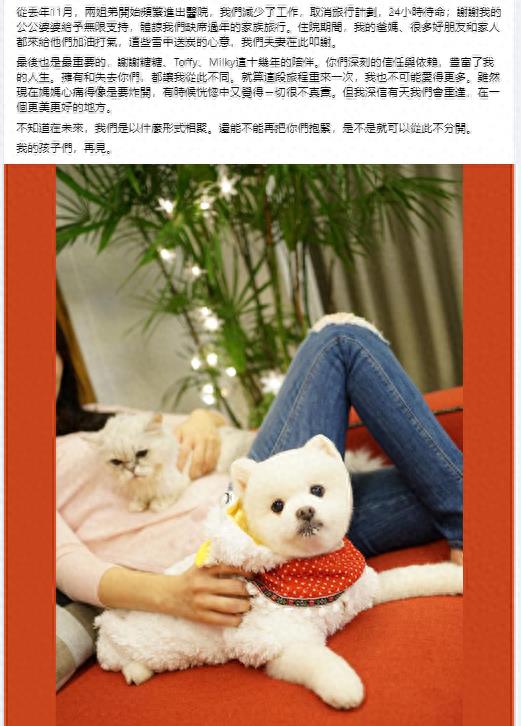 宝岛豪门录：300亿千金穆熙妍逃过联姻关，却也逃不过生育苦？