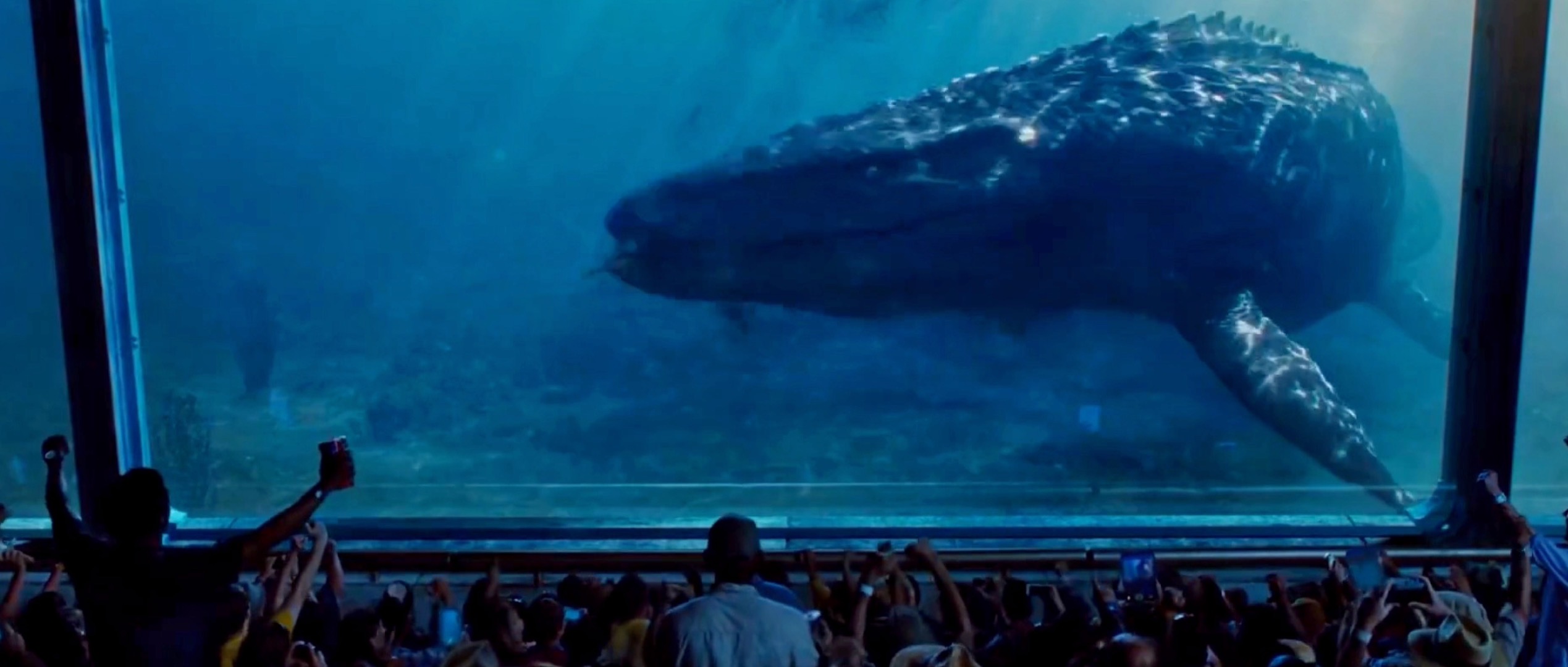 巨齿鲨王对比侏罗纪世界的沧龙,哪只海怪更强呢? - 电影资讯(主打网)