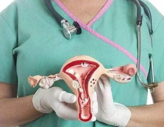 水果|子宫或不欢迎这5种水果,医生劝告:女性要少吃,不妨来了解一下