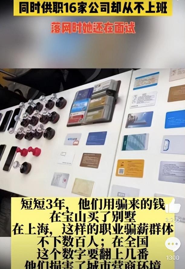 艺高人胆大，女子同时供职16家公司3年后买别墅，网友：这是人才