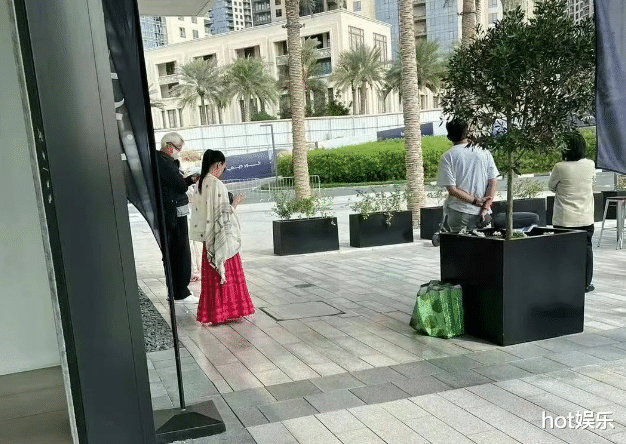 资产解冻,张庭夫妇迪拜疯狂买楼,花1亿迪拉姆,买6套海景房