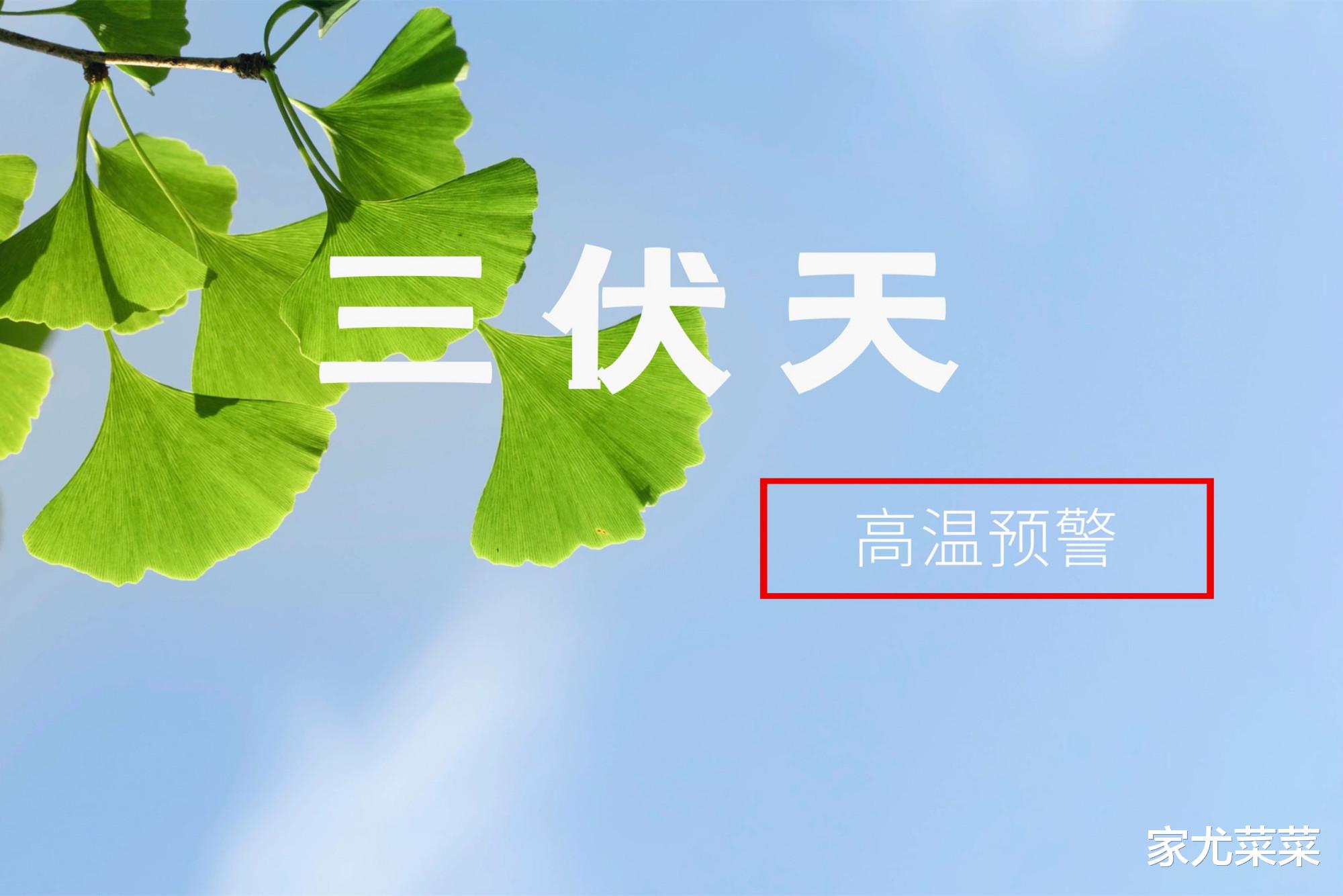 |2023三伏长达40天!你敢信吗?今年三伏很特殊,提醒大家早做准备