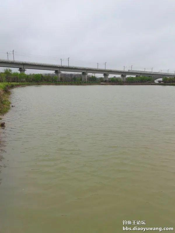 魁拔|再试魁拔极，意外擒鳜鱼