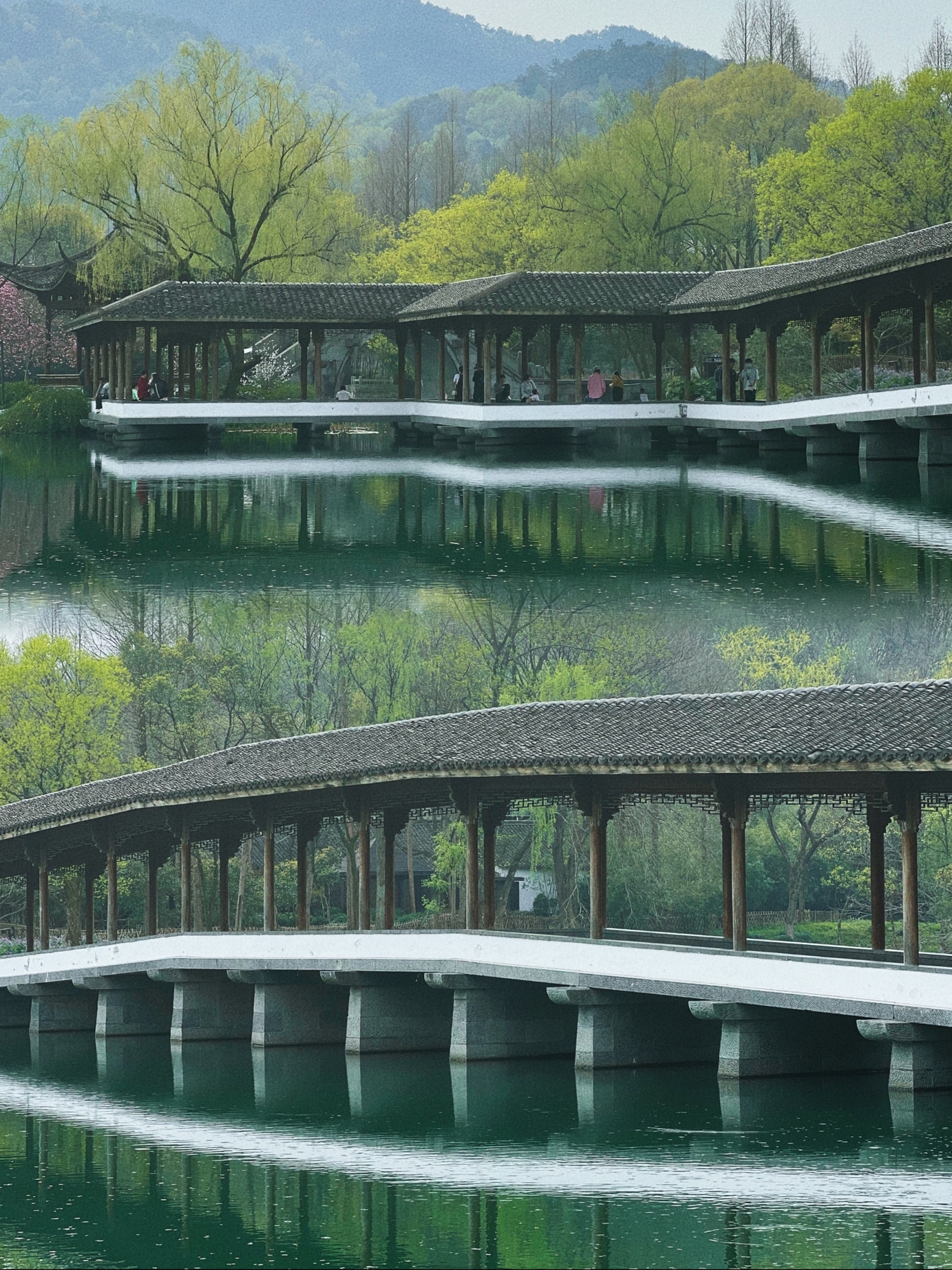 杭州|来杭州6年，最喜欢的西湖一日春游路线