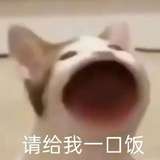 毛恬