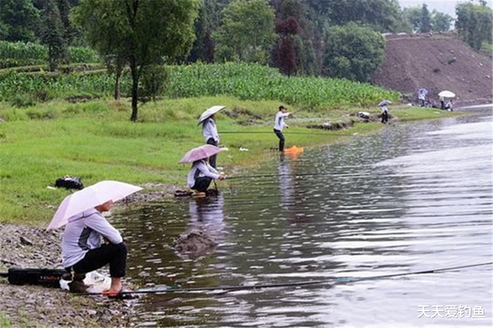 鲫鱼|春季野钓分阶段,根据这些规律来找鱼窝,一准连竿上鱼