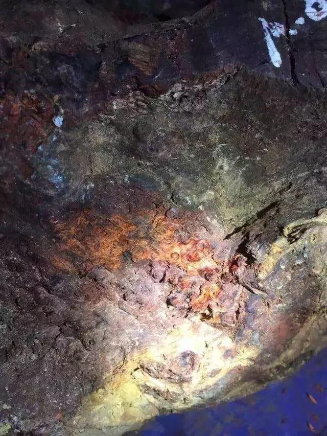 康熙|丑逼文玩 | 丑出新高度,价格却贵的离谱!