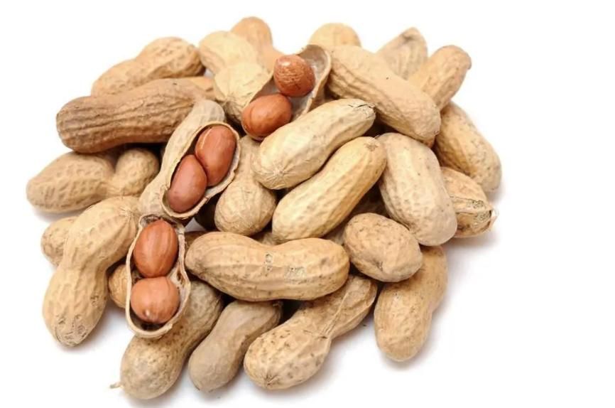 研究发现：常吃花生，会加速癌细胞扩散，是真的吗？看完涨知识了