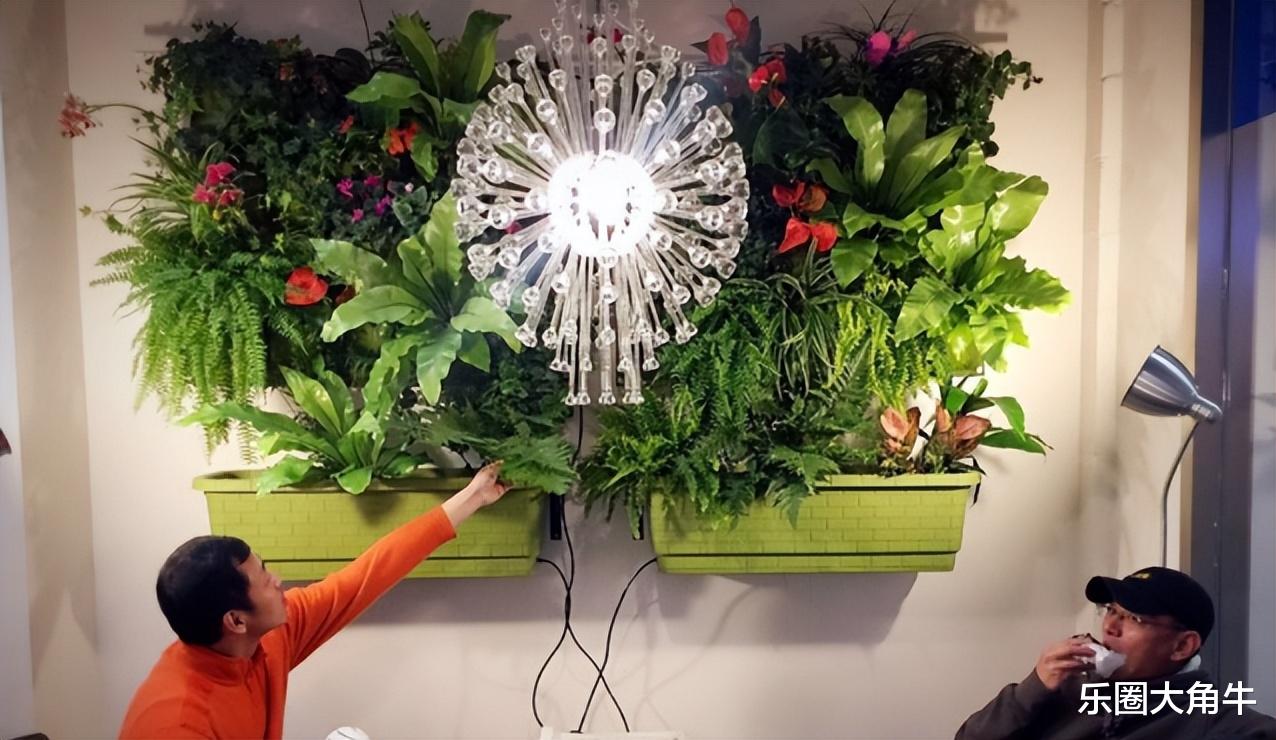 “水哥”这么完美，为何也会离婚了？