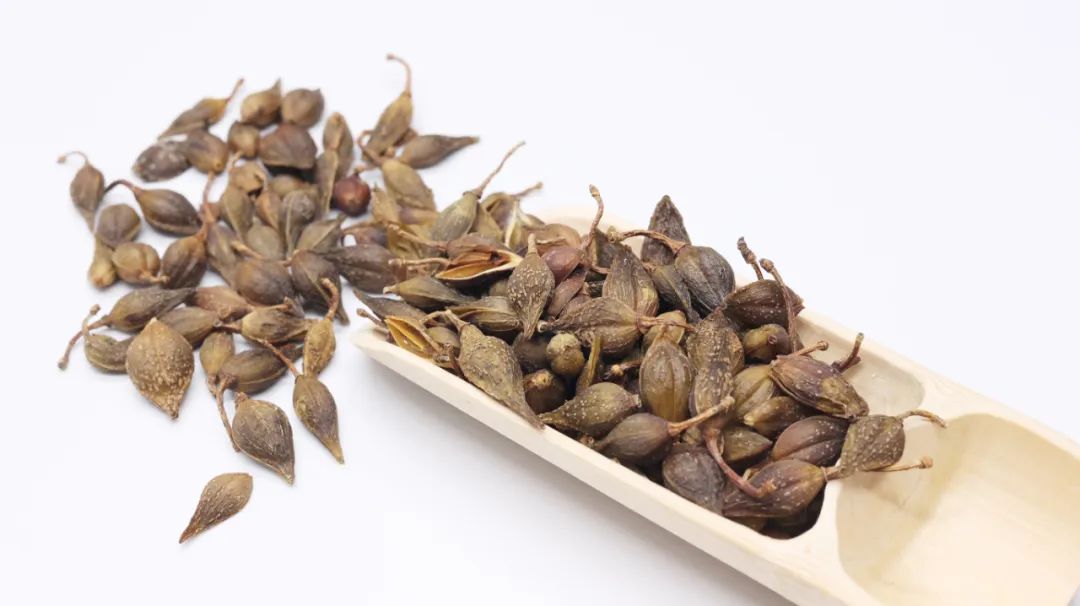 一味奇妙中药，散结节是灵丹，散风热是妙药，治疮疡是圣药，真棒