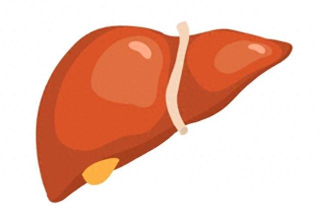 常吃桃，对肝是好是坏呢？医生：秋季养肝，吃2果，喝3茶，做4事