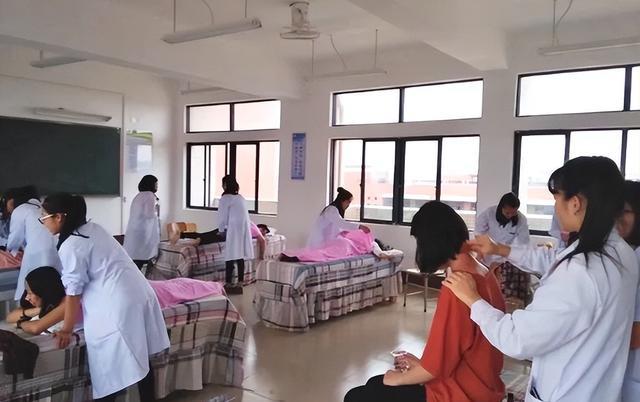 临床医学|临床、口腔不吃香了？2023医学类专业排名出炉，中医学的春天来了