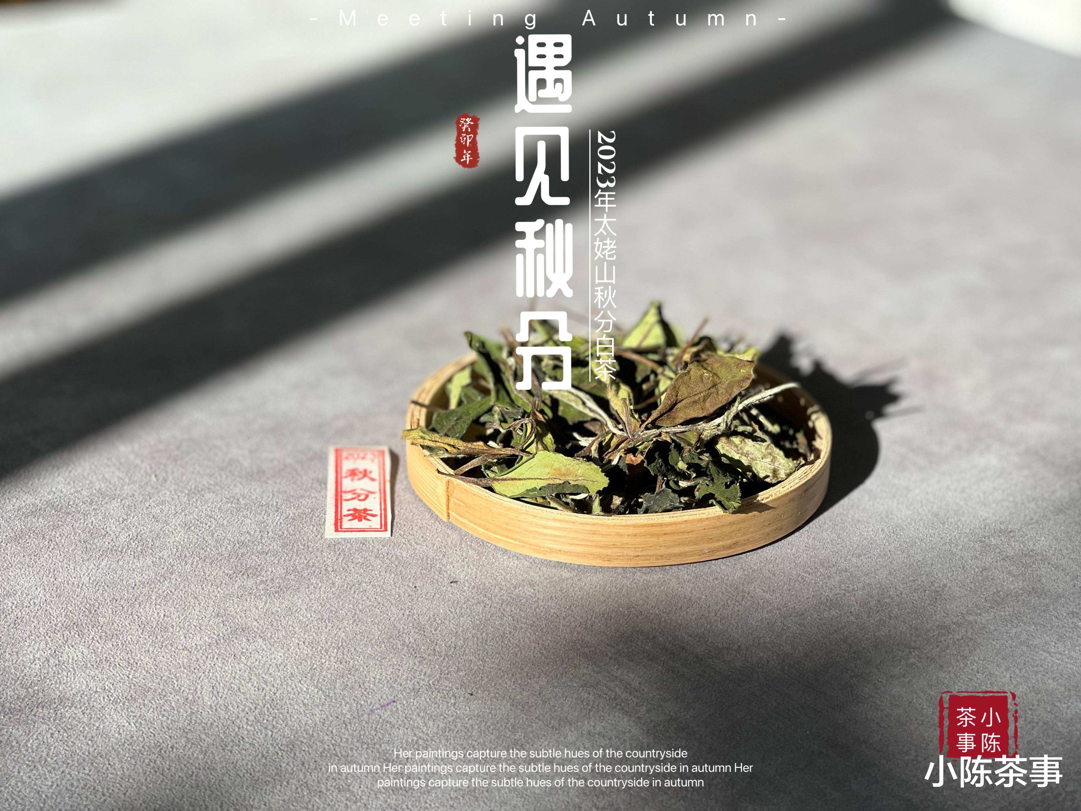 6种早该列入“煮茶黑名单”的茶叶,泡茶好喝,但煮茶真的不行