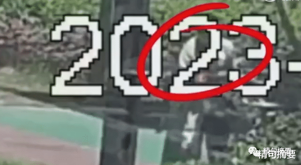 南沙|传说中的整顿职场？小伙入职第二天报警把公司端了