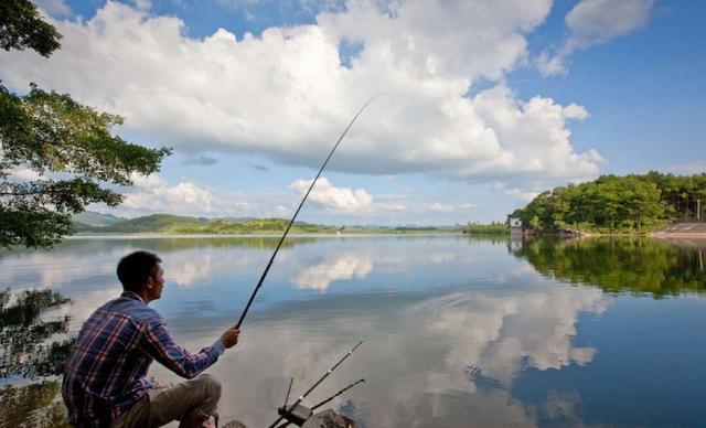 |新手钓鱼，野钓如何选择鱼竿的调性？