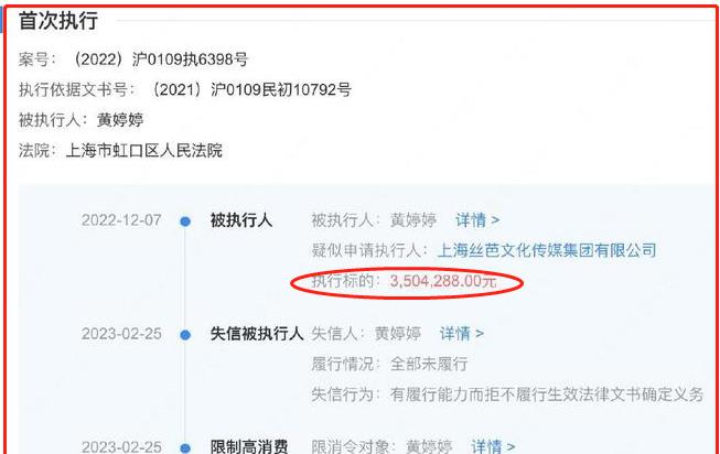 黄婷婷|12个小时出7个瓜，每一个瓜的信息量都很大