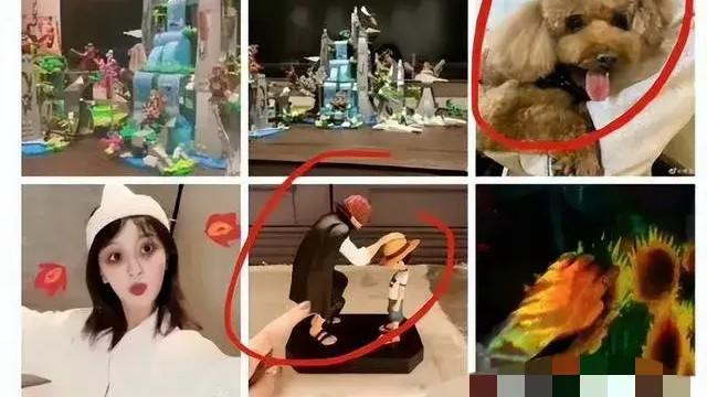 杨紫恋情疑曝光，娱乐圈爱情几何？从杨紫到檀健次，屡见不鲜！