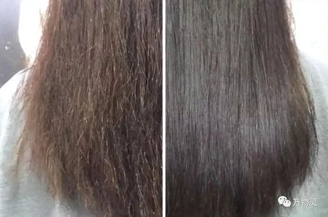 消息解密!洗完头发后,你更该吹干还是自然晾干?